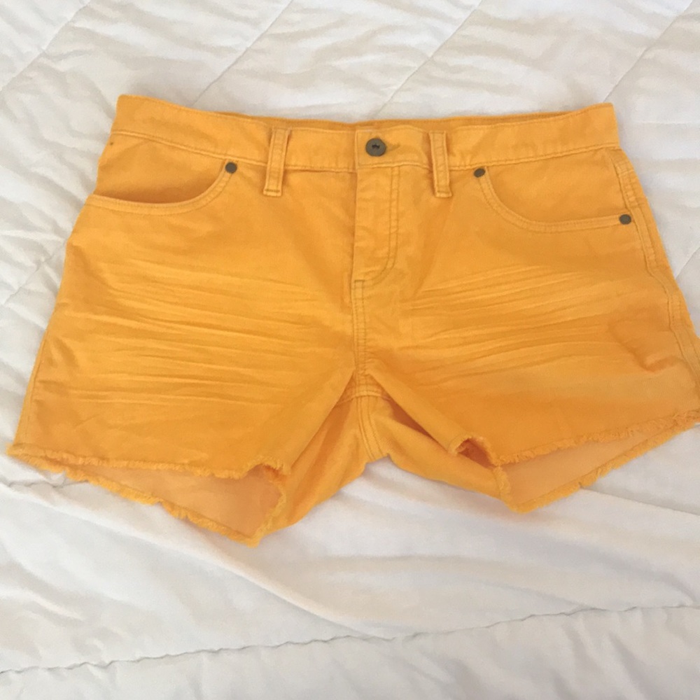 Carve Design Oahu shorts